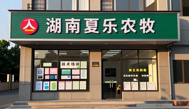 技术培训如何助力成果转化落地